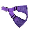Doggie Design Wrap and Snap Choke Free Dog Harness - Paisley Purple - 4 of 4