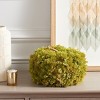 Faux 10" Moss Pumpkin - Green - Safavieh - 2 of 3