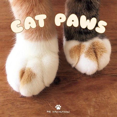 Paw-some cat books for the feline inclined