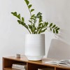 LuxenHome White Terracotta 12-Inch Tall Indoor and Outdoor Cylinder Vase - 2 of 4
