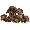 Nearly Natural 5-in Echeveria Succulent Plant (Set of 12), Green/Burgundy - 3 of 4