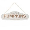 The Lakeside Collection Autumn Leaves and Pumpkins Please - Farm Fresh Pumpkins Sign - 2 of 4