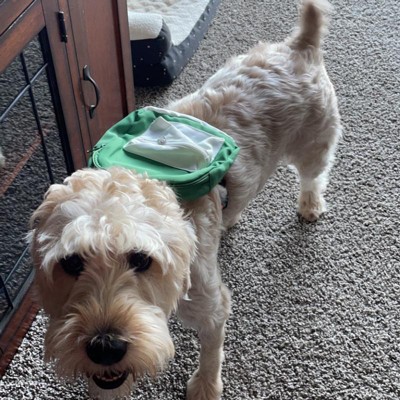 Backpack Dog Harness - S - Green - Boots & Barkley™ : Target