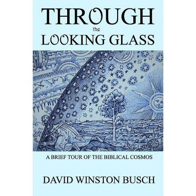 Through the Looking Glass - by  David Winston Busch (Paperback)