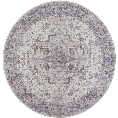 Nourison New Concept Washables Vintage Indoor Area Rug