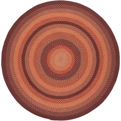 Braided BRD651 Flat Weave Rug - Safavieh