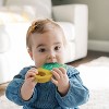 Dr. Brown's AquaCool Water-Filled Teethers - Houseplant - 2pk - 4 of 4
