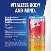 Red Bull Sugarfree Winter 2025 Edition Energy Drink - 12 fl oz Can - 2 of 4