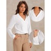 Allegra K Women's Shawl Collar Long Sleeve Office Dressy Shirt - 2 of 4