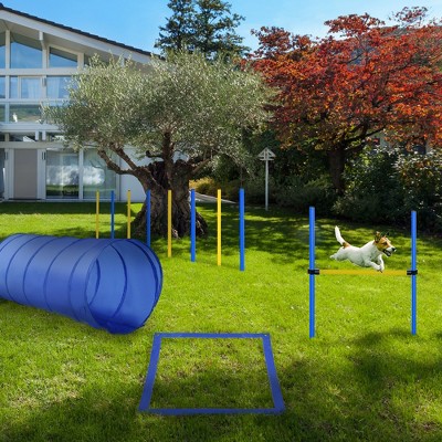 Blue and Yellow Dog Agility Training Course Kit