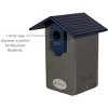 JCS Wildlife Ultimate Bluebird House - Mounting Pole Bundles Available! - 2 of 4