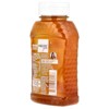 Wholesome Yum Zero Sugar Honey Substitute, Turmeric Ginger, 11 oz (312 g) - 3 of 3
