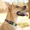 Leashboss Patterned Reflective Dog Collar - Orange Blanket, Small - 3 of 4