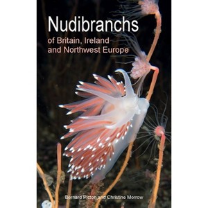 Nudibranchs of Britain, Ireland and Northwest Europe - (Wild Nature Press) by  Bernard Picton & Christine Morrow (Paperback) - 1 of 1