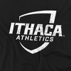 Men's Ithaca College Official Primary Logo Distressed T-Shirt - 2 of 4