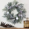 Northlight Frosted Mixed Pine and Pine Cone Artificial Christmas Wreath, 24-inch, Unlit - 4 of 4