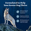 Blue Buffalo Wilderness High Protein Natural Senior Dry Dog Food with Chicken - 24lbs - 4 of 4