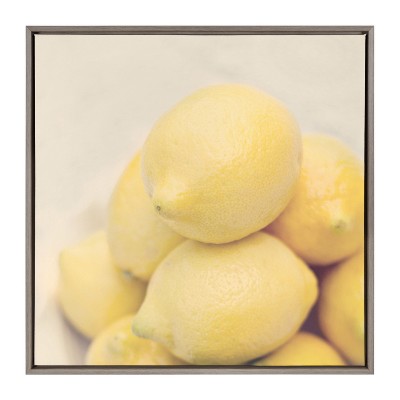 Kate and Laurel Sylvie Lemons Framed Canvas by Emiko and Mark Franzen of F2Images, 30x30, Gray
