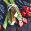 Van Zyverden 5ct Roots Rhubarb Victoria - 3 of 4