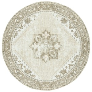 Tucson Vintage Persian TSN102 Power Loomed Machine Washable Skid-Resistant Indoor Rugs - Safavieh - 1 of 4