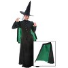 HalloweenCostumes.com  Women Women's Classic Witch Costume Cape, Black/Green - 2 of 2
