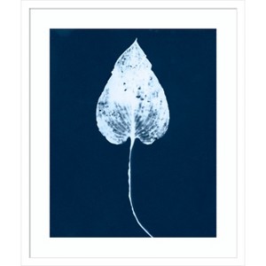 Amanti Art Cyanotype Leaf III by Jason Johnson Wood Framed Wall Art Print - 1 of 4