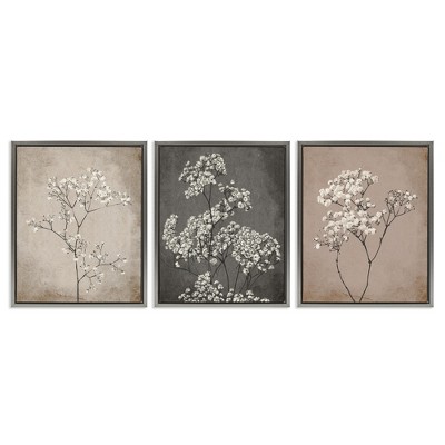 Stupell Industries Botanical Baby's Breath Herbs, 25" x 31"