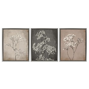 Stupell Industries Botanical Baby's Breath Herbs, 25" x 31" - 1 of 4