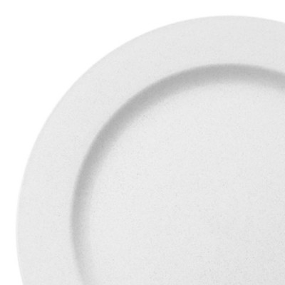 Smarty Had A Party 10" Matte Milk White Round Disposable Plastic Dinner Plates (120 Plates) Target