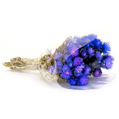 16" Artificial Dried Cape Blumen Bouquet Blue - National Tree Company