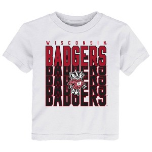 NCAA Wisconsin Badgers Toddler Boys' T-Shirt - 1 of 1