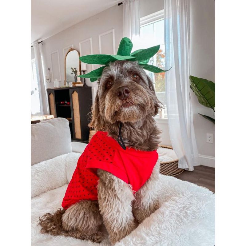 Midlee Strawberry Dog Costume, 5 of 9