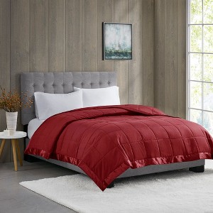 NicBex Lightweight Down Alternative Blanket with Satin Trim,Fuzzy Cozy Luxury Blanket Microfiber for Bed Sofa - 1 of 4