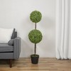 Northlight 4' Unlit Artificial Potted Two Tone Green Double Ball Boxwood Topiary Garden Tree - 2 of 4