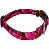 Country Brook Petz Deluxe Dog Collar - Affection Collection - 3 of 4