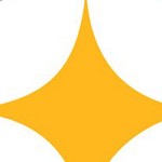 pittsburgh steelers