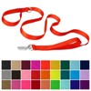 Country Brook Petz Deluxe Nylon Dog Leash, 6 Foot - 2 of 3