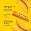 Burt's Bees Superfruit Lip Balm - 4ct - image 3 of 4