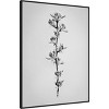 32" x 42" Amid The Flowers by Teis Albers - Amanti Art: Modern Botanical Lithograph - 2 of 4