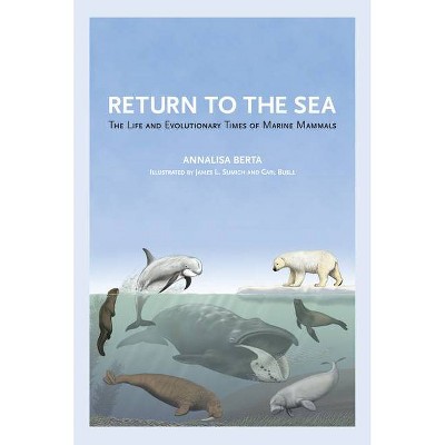 Return to the Sea - by  Annalisa Berta (Paperback)