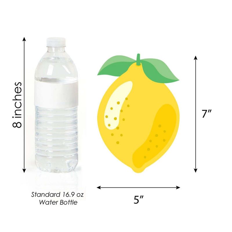 Big Dot of Happiness So Fresh - Lemon - Decorations DIY Citrus Lemonade Party Essentials - Set of 20, 5 of 6