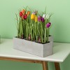Vickerman 10" Artificial Tulips in Black Plastic Planters Pots, Set of 6. - 3 of 3