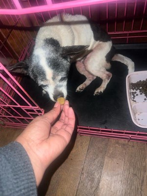 Guest review image 1 of 1, zoom in