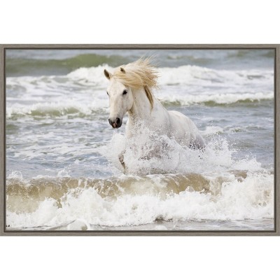 23" x 16" Camargue Horse in the Surf by Ellen Goff Danita Delimont Framed Canvas Wall Art - Amanti Art