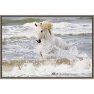 23"x16" Camargue Horse in the Surf by Ellen Goff Danita Delimont - Amanti Art: Modern Lithograph, Oceanic Animal - 1 of 4