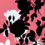 tea rose graphic floral