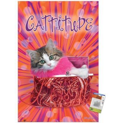 clear push pins bundle