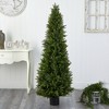 5.5' Indoor/Outdoor Cypress Cone Topiary Artificial Tree - Nearly Natural: UV-Resistant, No Assembly, Modern Decor Style - 2 of 4