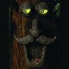 Fun Express Birdfeeder Tree Face Glow in the Dark Home Decor - 3 Pieces - 3 of 4