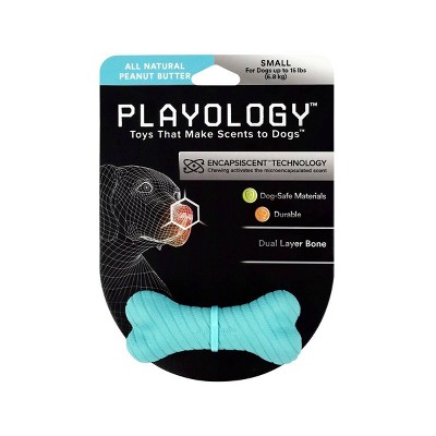 Playology Peanut Butter Scent Bone Dog Toy - Blue - S
